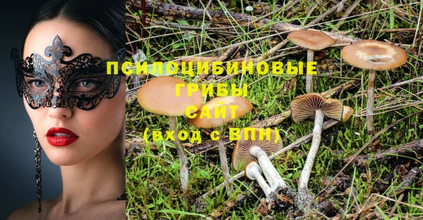 дурь Зеленокумск