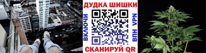 Купить где  Лянтор  Бошки Шишки гибрид 
